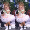2020 아기 미스 아메리카 여자의 미스 드레스 사용자 정의 만든 Organza 파티 컵케잌은 꽃 소녀 작은 아이에 대 한 예쁜 드레스