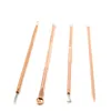 Blackhead Stainless Steel Rose Gold Acne Clip Blackhead cleansing tools Needle Tool 4 pcs with Box Acne Beauty Tools