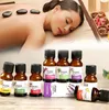 12pcs/lot 10ml Tree Pure Essential Oils for Diffusers Natural Skin Care Lift Skin Plant Fragrance oil