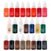 5PCS Makeup Pigmment MicroPigment Tattoo Ink 15mlbottle Manualna manualna brwi czarna brązowa mieszanka Color273T25196208862967