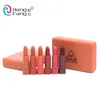 Hengfang varumärke 6st / set naken matt läppstift Vattentät långvarig Batom Lip Sticks Kit Makeup Set Pigment Velvet