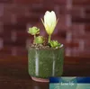 Pot de plantes de jardin succulentes, Mini bureau à pouce, pots de fleurs en céramique de haute qualité