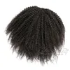 Brésilien Vierge 4C Afro Crépus Bouclés Cheveux 120g Prêle Couleur Naturelle Bande Élastique Cordon Humain Queue De Cheval Extensions de Cheveux