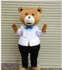 2019 Hot sale Teddybeer van TED Adult Cartoon Mascot Costume Fancy Dress