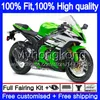 KAWASAKI ZX1000 ZX (10) R 2011 2012 2013 2014 2015 218MY.48 공장 녹색 ZX 10R 1000CC ZX10R ZX10R 11 12 13 14 15 OEM 바람막이를 들어 사출