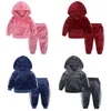 Toddler Tracksuit Autumn Baby Clothing Sets Children Boys Girls Fashion Close Chids Hooded Tshirt and Pant 281M1540798