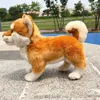 Mini Animal Shiba Inu Doll Soft Plush Toy Pet Akita Dog Toy Plush Toy for Kids Gift Decoration 24x30cm DY507642086897