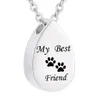 Memorial Pet Ashes Ceensake Dog CAT Cremation Jewelry Urn Necklace Paw Paw Stampa Memoriale di cenere Memoriale2867417