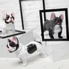 Plast French Bulldog Dog Mannequin för Pet Display EMS Färg tillverkad av Hand2614817