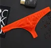sous-vêtements pour hommes Translucide soie glacée string pantalon T Lingerie Micro Trou String Bikini avant Sous-vêtements Underpants G-string
