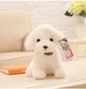 18 cm Simulering Teddy Dog Poodle Plush Toys Cute Animal Suffed Doll för julklapp Kids Toy EEA2646207266