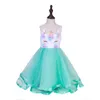 Dziewczyny Księżniczka Sukienka Kid Girl Zroszony Haftowane Suknia Balowa Kids Designer Odzież Odzież Dzieci Bez Rękawów Siatki Tutu Zip Dresses M1104