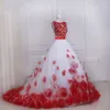 Deux pièces Quinceanera robe de bal robes de soirée de bal fleurs florales 3D appliques de dentelle col transparent dos creux rouge et blanc Designe7567706