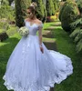 2020 New Hot Sexy Arabic Long Sleeves A Line Wedding Dresses Illusion Lace Appliques Beaded Plus Size Court Train Sheer Back Bridal Gowns