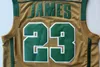 High School LeBron James Jerseys 23 Men Basketball Irish St. Vincent Mary Jerseys For Sport Fans Team Green Away Brown White Color