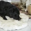 Faux Fur Ortopeda Labrador Kennel Curwa Biały pies Zły dywan dla dużych średnich Puppys