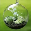 Sfera trasparente a forma di globo Vaso di vetro trasparente sospeso Piante da fiore Terrario Contenitore Micro Paesaggio Decorazioni per la casa di nozze fai da te259T