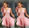 New Illusion Long Sleeve Pink Homecoming Dresses V-Neck Lace Applique A Line Short Prom Gown Party Dress Cocktail Party Gowns Vestido