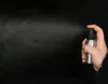 Consegna veloce! Bottiglie spray in alluminio per bottiglie di profumo Contenitori cosmetici riutilizzabili per cosmetici 30 ml / 50 ml / 100 ml / 120 ml / 150 ml SN1121