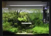 Chihiros Ada Style Plant Groghing Led Light Aシリーズミニブリーフ水植物水タンクメタルブラケットサンライズサンセット7510596