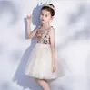 Lace Ball Gown Flower Girls Dresses For Wedding Sequin Birthday Gowns Golden Tulle Beading First Communion Dresses