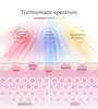 Maschera professionale per la terapia della luce fotonica a LED Dispositivo di bellezza Rafforzamento del viso Sbiancamento Strumenti per la cura della pelle antietà Maschera facciale a LED