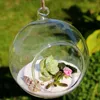Top Küre Şekli Temizle Asılı Cam Vazo Çiçek Bitkileri Teraryum Vazo Konteyner Mikro Peyzaj DIY Düğün Ev Dekorasyon