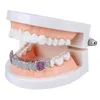 Guld Silver Color Hip Hop Iced Out Colorful CZ Mouth Teeth Grillz Caps Top Bottom Grill Men Women Vampire Grills Jewelry Gifts1362544