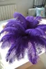 En gros Livraison gratuite 100pcs / lot 18-20 pouces (45-50cm) plumes d'autruche violettes plumes pour pièce maîtresse de mariage décor de plumes décor de mariage