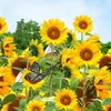 Wallpapers Lovely Sunflower Fields Po Wallpaper Idyllic Scenery Wall Mural Pography Bedroom Living Room Kid Home Decor1