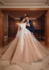 Dubai Dubai Nude A Line Wedding Dress 2022 Ivory Lacees Sexy v Neck Long Summer Bridal Vintage Plus Size Bride Drides