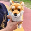 Mini Animal Shiba Inu Doll Plush Plexho de pelúcia Akita Dog Toy Plush Plexh para crianças Decoração de presente 24x30cm