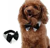 Laços para animais de estimação Stripe Dog Pet Bow Tie ajustável Filhote de cachorro Gato Gatinho Pet Toy Kid Bow Tie Gravata CCFYZ104