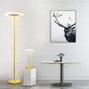 Danmark Nordic Creative Floor Lamp sovrum vardagsrumsbordlam