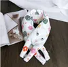 Le nouveau foulard animal pour la collection d'automne / hiver féminine est livré avec une épaisse écharpe chaude