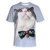 Mode 3D T-shirts Print Dieren Katten Heren Womens T-shirt Anime Korte Mouw Tees O-hals Tops Cartoon T-shirt 141 Kerstmis Gift