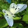 12шт светодиодные бабочка волоконно-оптическая фея светодиодные открытый сад света патио забора орнамента светло-садовые украшения
