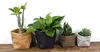 Składane doniczki Kraft Paper Flowerpot Waterproof 4 Colours Ochrony Środowiska Sadziarki do przechowywania Mini Ogród Warzywa Warzywa 7562708