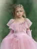 Sweet 2020 Flower Girls Dresses With Detachable Long Gloves Girls Wear For Wedding Lace Floor Length Girls Party Dress