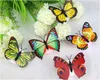 Väggklistermärkear Inredning Färgrik Byte Butterfly Led Night Light Lampa Hemrum Party Desk Decorations grossistpris