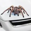 Car-Styling Car Adesivo 3D Animal Aranha De Vinil Decalques Home Adesivos Auto Motocicletas Engraçado Halloween Adesivos Exterior Acessórios