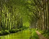 Custom 3D behang Muurschildering Mooie landschappen van groene boom-omzoomde paden woonkamer slaapkamer tv achtergrond muur behang