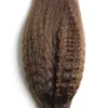 Yaki grossier Micro boucle anneau cheveux mettre en évidence couleur Remy pré-collé Extension de cheveux crépus droite Micro boucle Extensions de cheveux 100g7202461