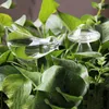 Plant Watering Bulbs Bird Mushroom Design Hand-blown Glass Self Watering Transparent221J