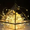 LED Dizeleri 2 M Bakır Gümüş Işıklar Pil Peri Işık Noel için Cadılar Bayramı Ev Partisi Düğün Parti Dekorasyon Hisse Senedi