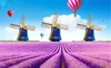 3d behang bloem van mariene lavendel Nederlandse windmolen behang 3d op de muur indoor tv achtergrond wanddecoratie muurschildering behang