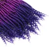 14 "Bomb Twist Crochet Hair Synthetic Crotchet Hair Extensions 24Strands Passion Twists Braiding 70g / PC för svarta kvinnor BS11
