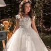 Formelle Anlässe Schmetterling Kinder Blumenmädchenkleider Erstkommunion Party Ballkleid Prinzessin Kleid Brautjungfer Brautkleider mit Schleppe