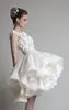 A Late Lace Orgricza Dress Mini Jewel Bell Cap Empire expire Ruffles Button Vestidos Vestidos Dresses SW00552663090