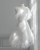 Modest A Line Wedding Dresses Jewel Neck Sleeveless Appliques Beads Feathers Tulle Plus Size Wedding Dress Knee Length Robes De Mariée